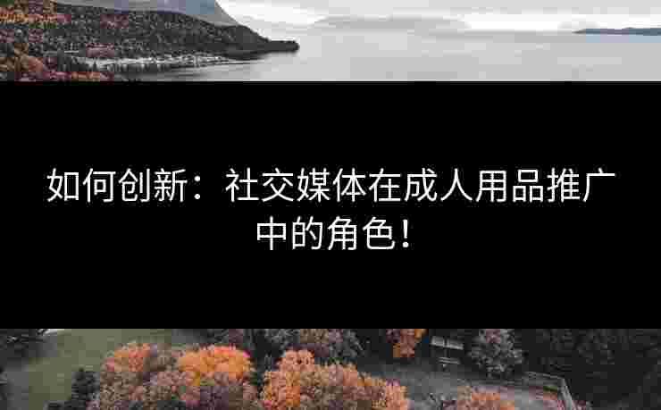 如何创新：社交媒体在成人用品推广中的角色！