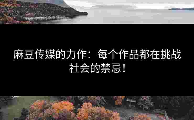 麻豆传媒的力作：每个作品都在挑战社会的禁忌！
