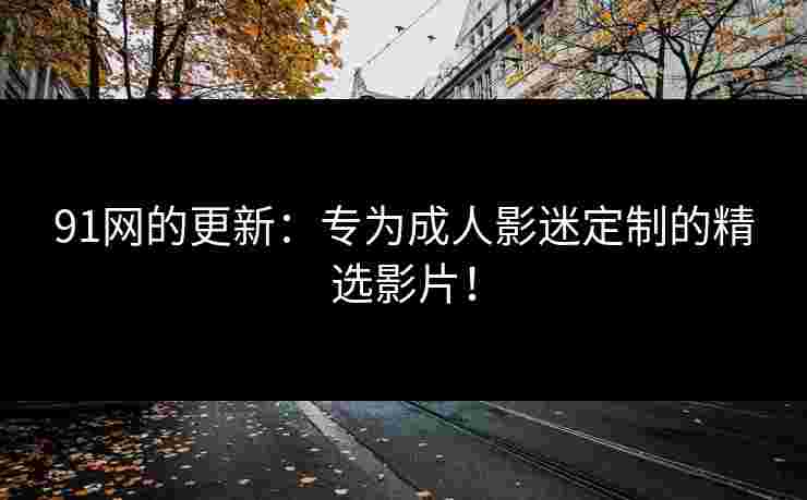 91网的更新：专为成人影迷定制的精选影片！