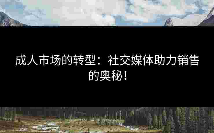 成人市场的转型：社交媒体助力销售的奥秘！